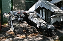 IMG_6279