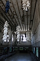 IMG_6286