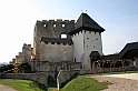 IMG_6334