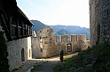 IMG_6350