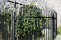 IMG_6353