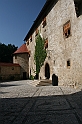 IMG_6402