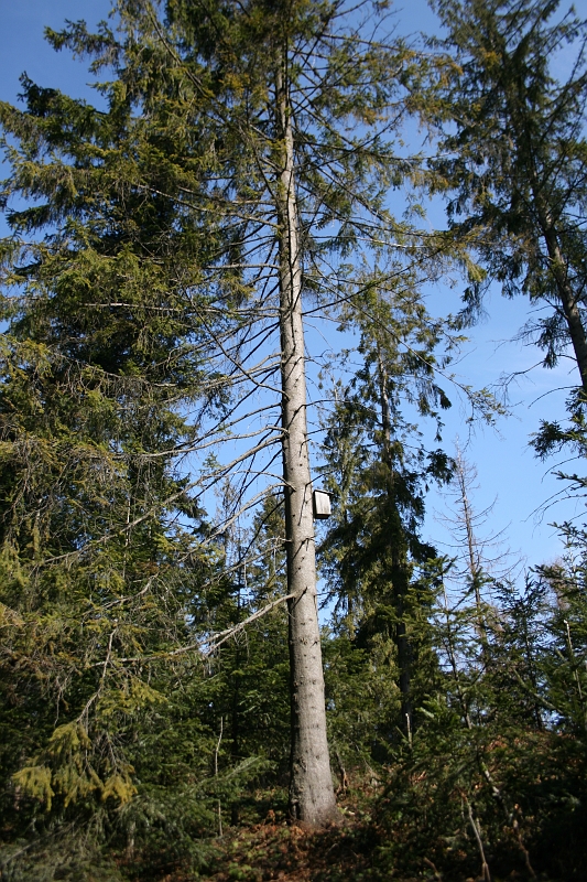 IMG_0519