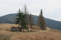 IMG_0494