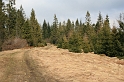 IMG_0502