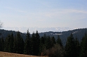 IMG_0508