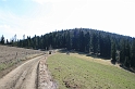 IMG_0524