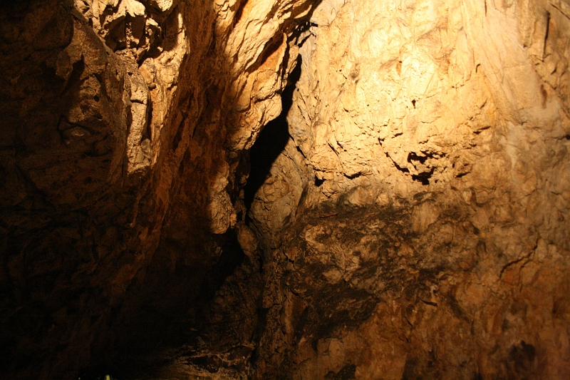 IMG_0737