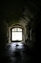 IMG_0558