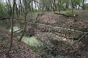 IMG_0570