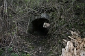 IMG_0579
