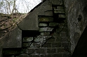 IMG_0581