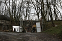 IMG_0612