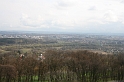 IMG_0665