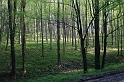IMG_1703
