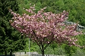 IMG_1745