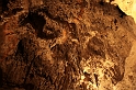 IMG_1761