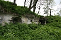 IMG_2253