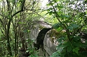IMG_2309