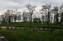 IMG_2317