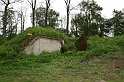 IMG_2325