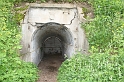 IMG_2326