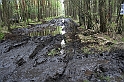 IMG_2203