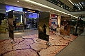 IMG_9569