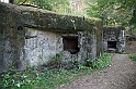 IMG_9875