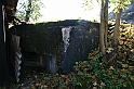 IMG_9601