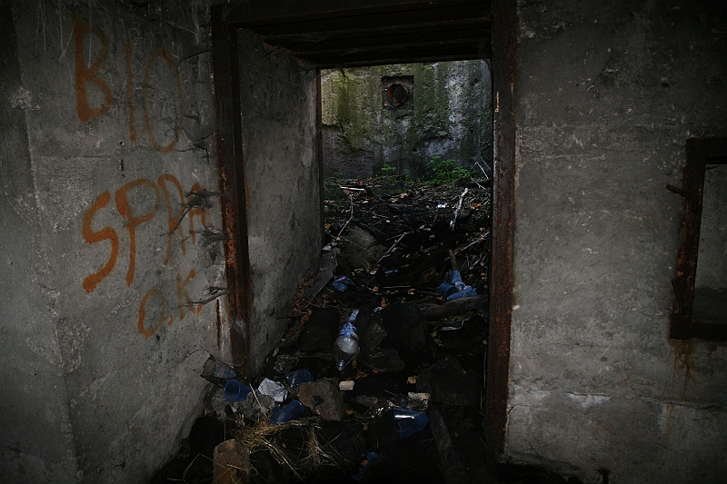 IMG_9644