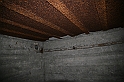 IMG_9693