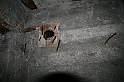 IMG_9694