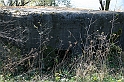 IMG_9734