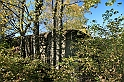 IMG_9737