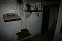 IMG_0011