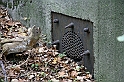 IMG_0068