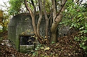 IMG_0085