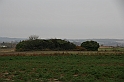 IMG_0098