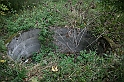 IMG_0157