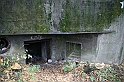 IMG_0194