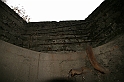 IMG_0206