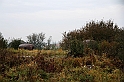 IMG_9896