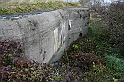 IMG_9909