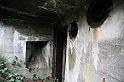IMG_9910