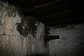 IMG_9927