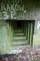 IMG_9936