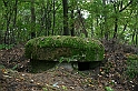 IMG_9946