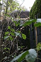 IMG_9964