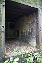 IMG_9966